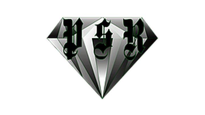 Prestige Stone & Surface Repair logo